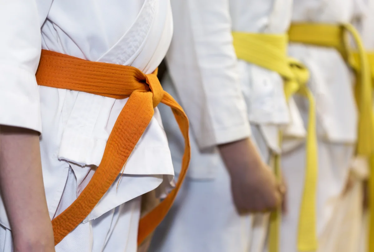 Martial Arts America Ankeny Main facility image
