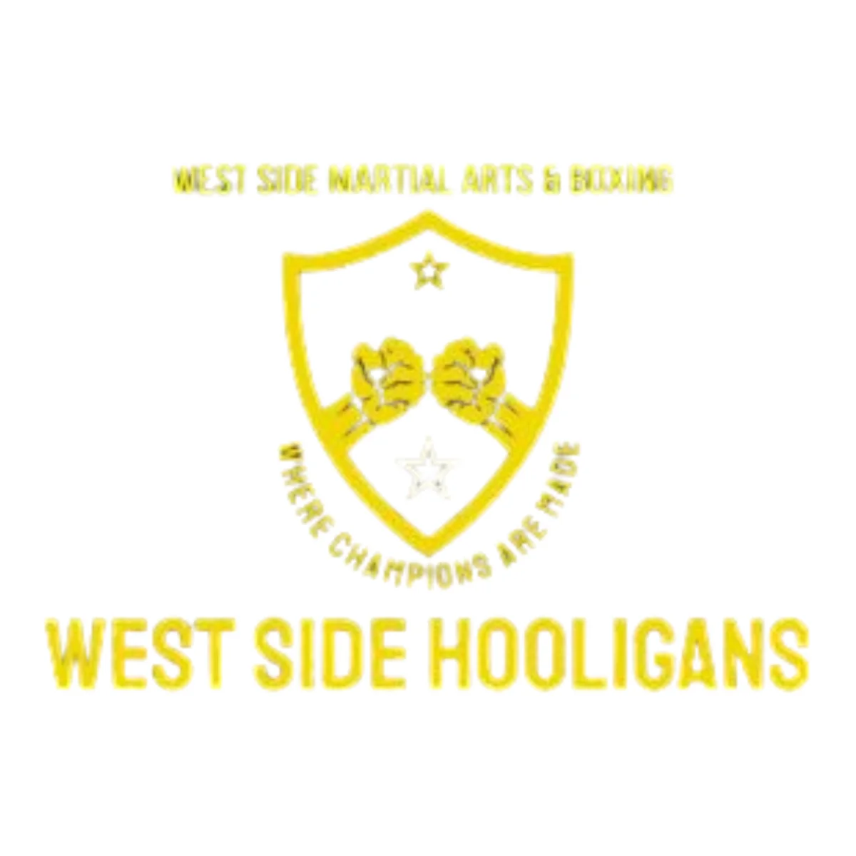 West Side Martial Arts & Boxing facility image