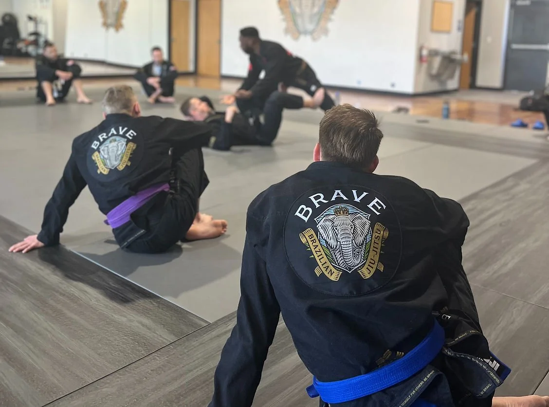 Brave Brazilian Jiu-jitsu, LLC academy logo