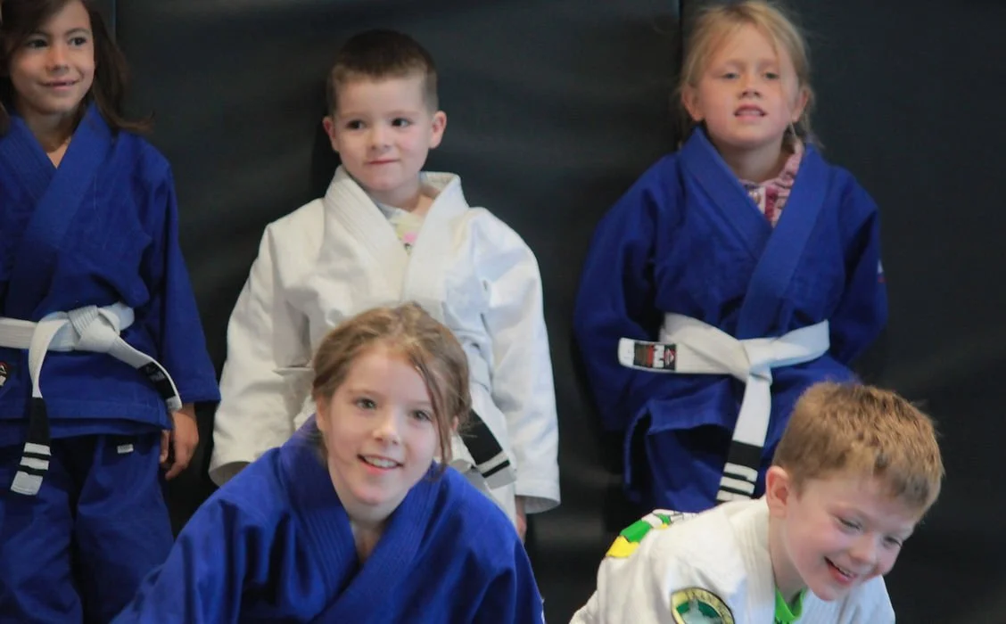Brave Brazilian Jiu-jitsu, LLC facility image