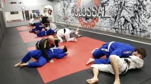 Colossal Fight Company facility image