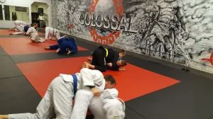 Colossal Fight Company facility image