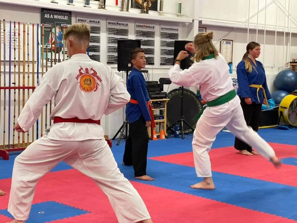 Low's Martial Arts Academy facility image