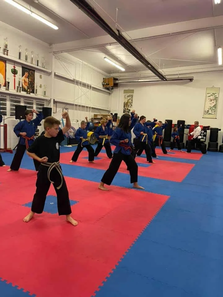Low's Martial Arts Academy facility image