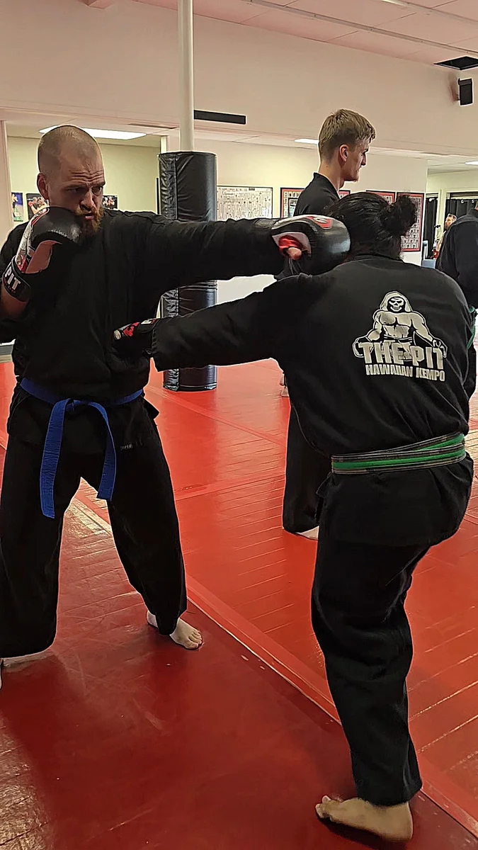 Pit Martial Arts and Fitness facility image