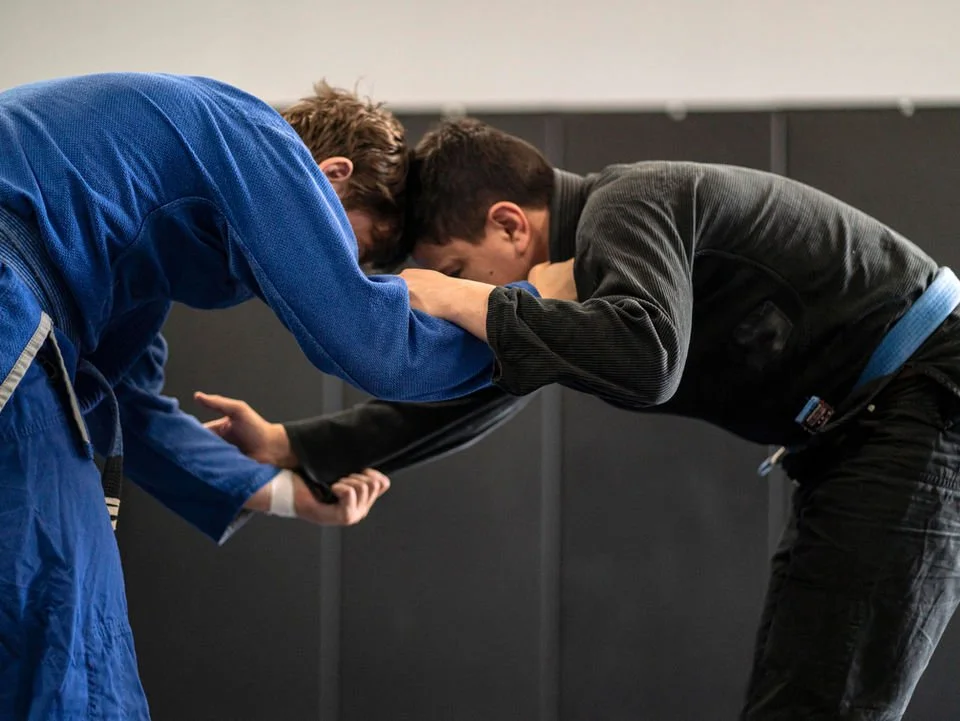 309 Jiu-Jitsu Academy academy logo
