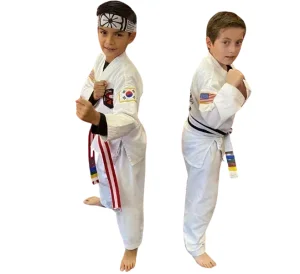 AKF Martial Arts of Elgin academy logo
