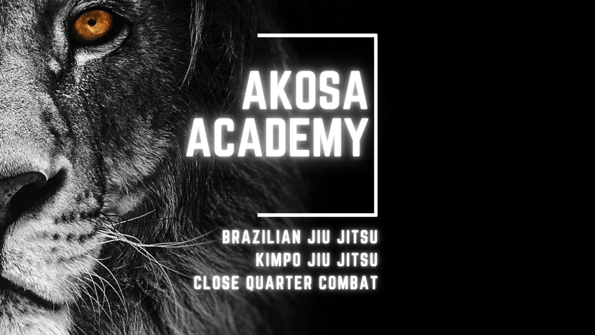 Akosa Academy academy logo