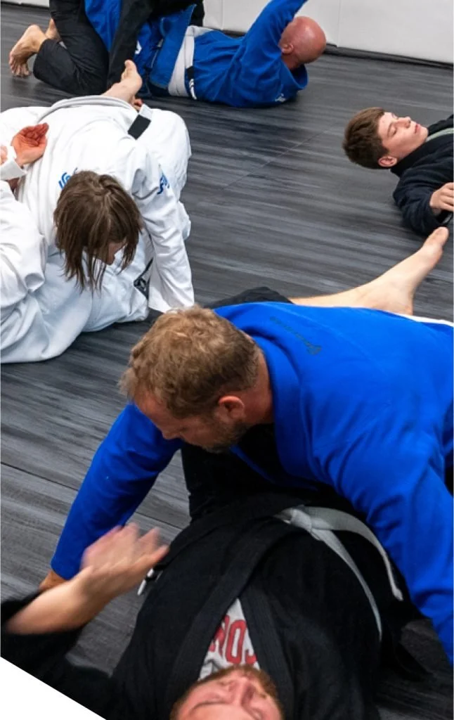 BJJ Lab Elmhurst academy logo