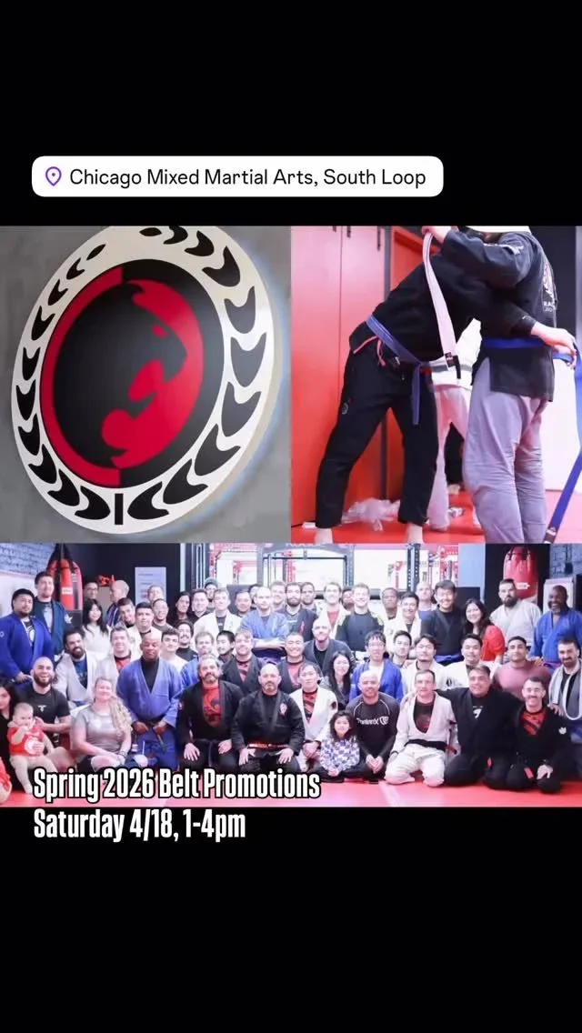 chicagomma.com (name not explicitly provided) facility image