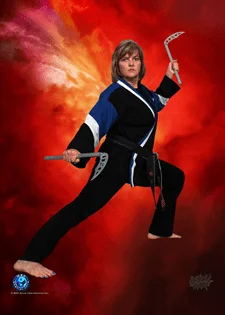 MBD Martial Arts Des Plaines facility image