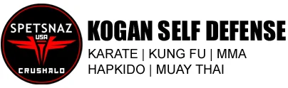Mikhail Kogan Self-Defense & Martial Arts facility image