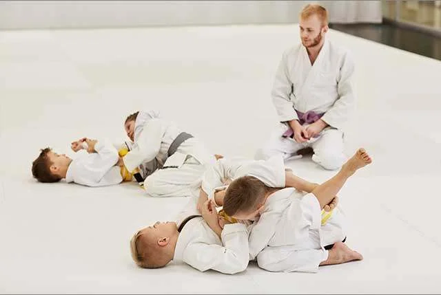 Threshold Martial Arts LLC facility image