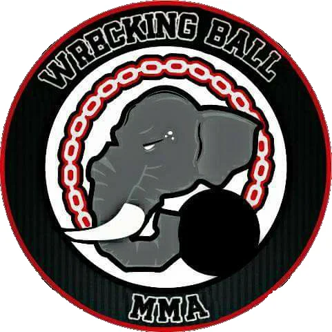 Wrecking Ball MMA academy logo