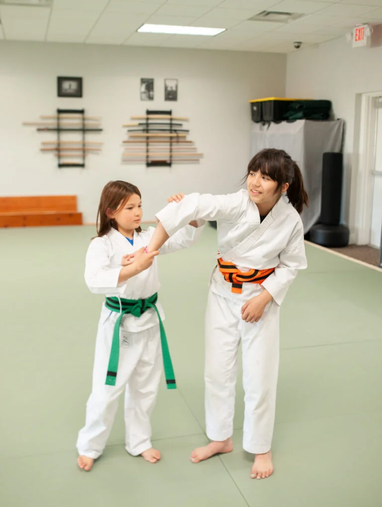 Aikijuku Dojo facility image