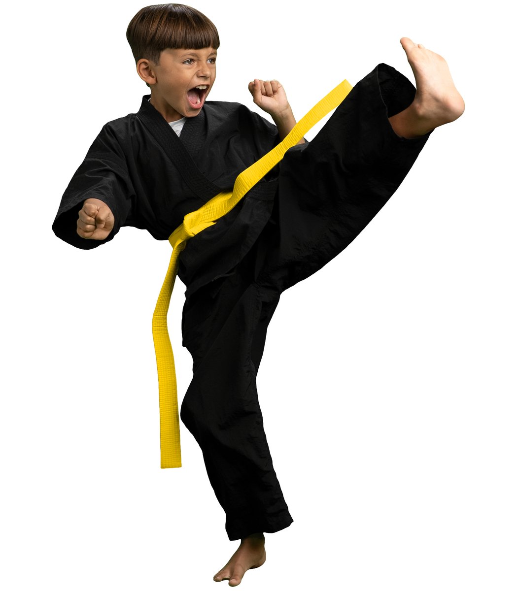 Premier Martial Arts East Wichita academy logo