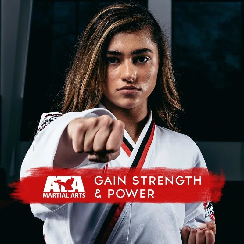 Vigilance Martial Arts - Topeka facility image