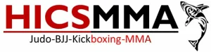 HICSMMA (High Intensity Combat Sports Mixed Martial Arts) academy logo