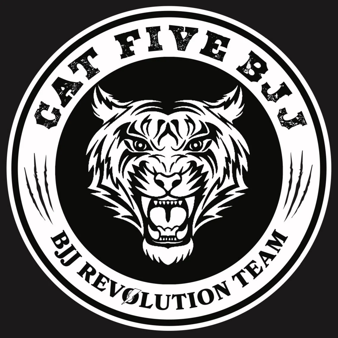 Cat Five BJJ facility image