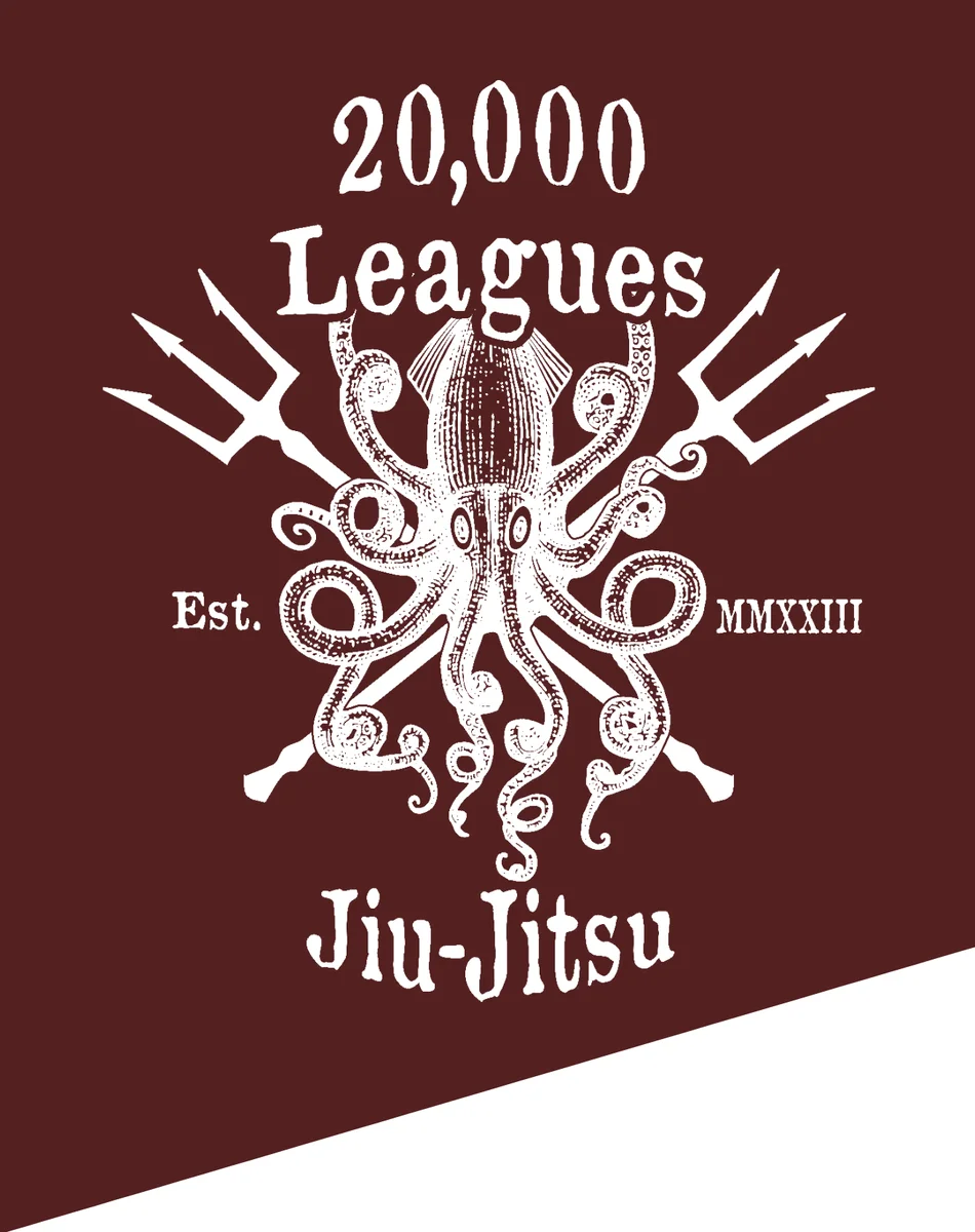 20,000 Leagues Jiu Jitsu (North Shore's Best BJJ) facility image