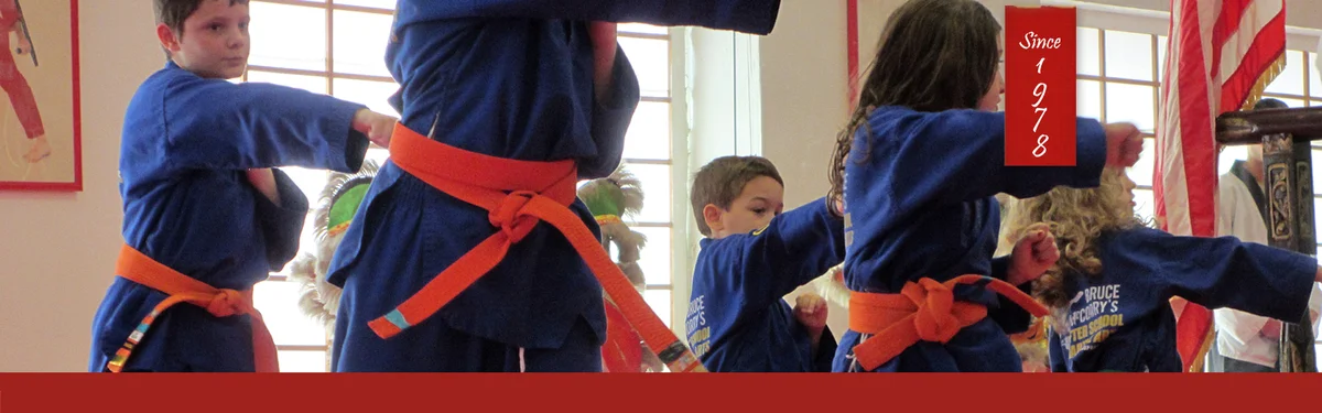 Bruce McCorry's Martial Arts facility image