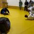 Evolve Jiu Jitsu Academy academy logo