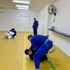 Evolve Jiu Jitsu Academy facility image