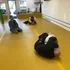 Evolve Jiu Jitsu Academy facility image