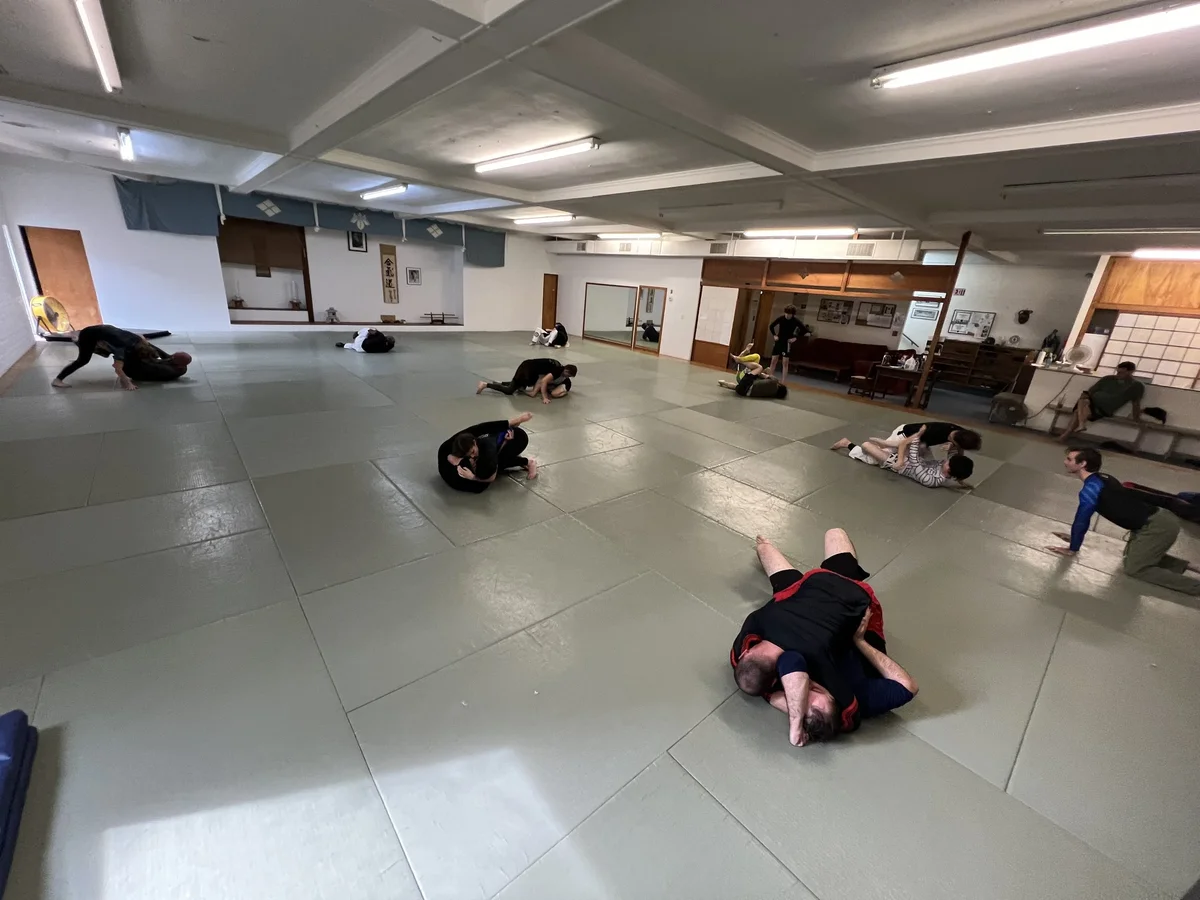 Ginsberg Academy of BJJ and MMA facility image