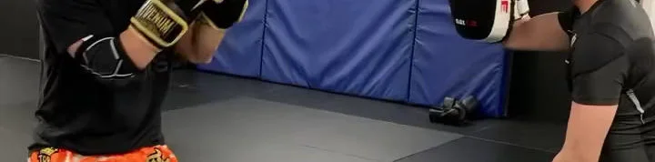 Gorilla Martial Arts facility image