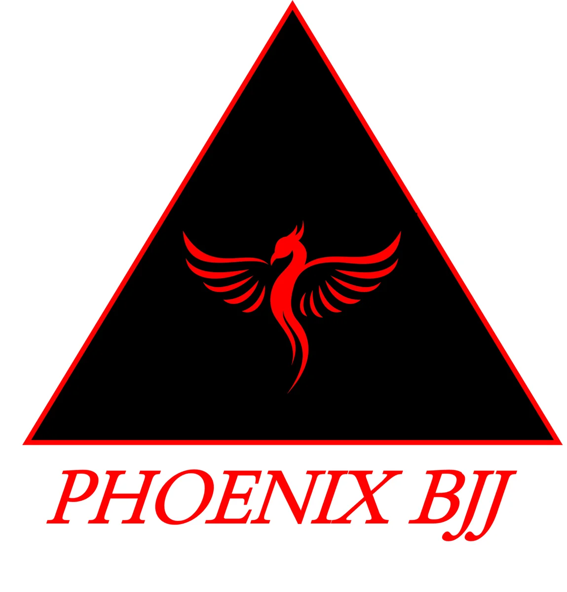 Phoenix BJJ facility image