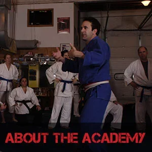 The Theodorou Academy of Jiu Jitsu facility image