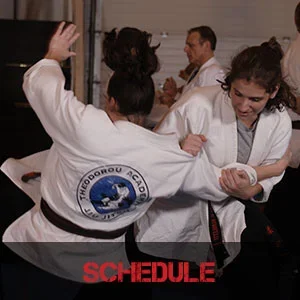 The Theodorou Academy of Jiu Jitsu facility image