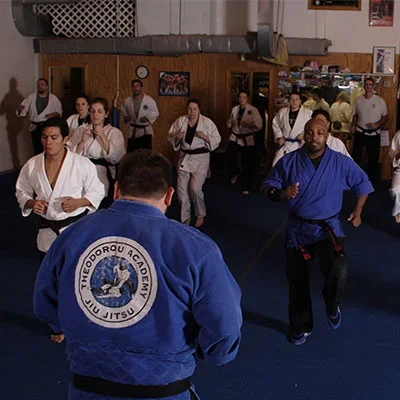 The Theodorou Academy of Jiu Jitsu facility image