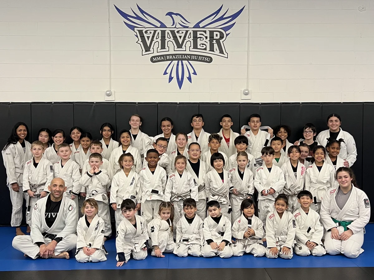 Viver MMA facility image
