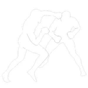 Watch City MMA facility image
