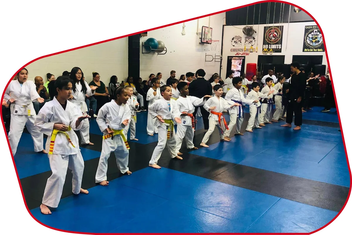 American Kenpo Karate Studio facility image