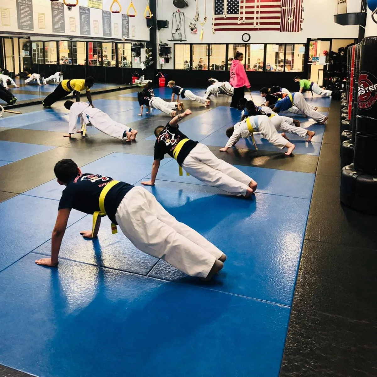 American Kenpo Karate Studio facility image