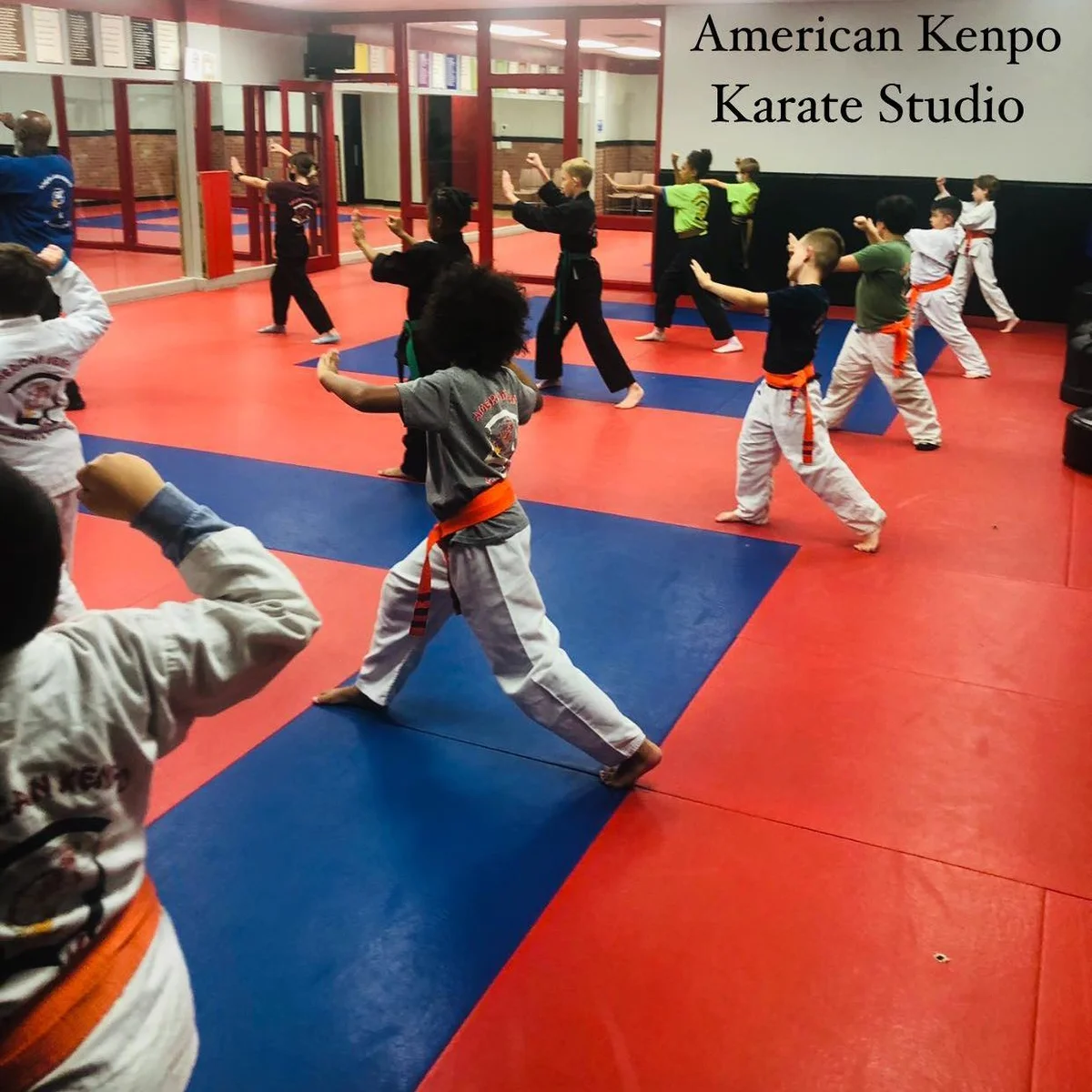 American Kenpo Karate Studio academy logo