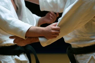 Chevy Chase Jujitsu facility image