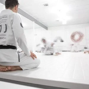 Form Jiu Jitsu facility image