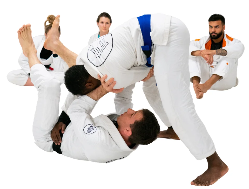 Form Jiu Jitsu facility image