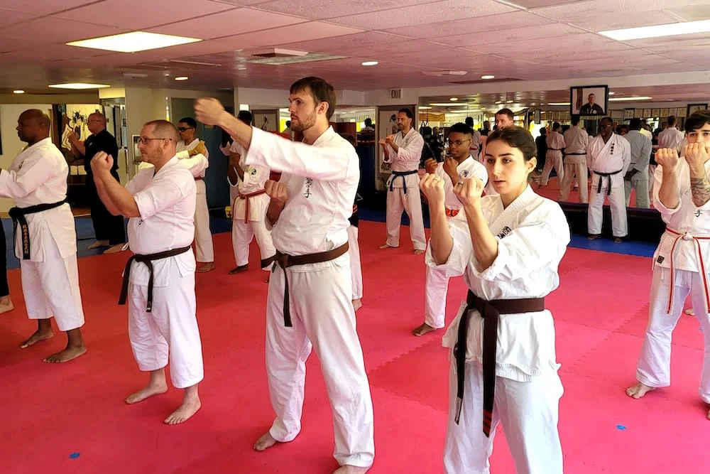 Polander Academy Of Martial Arts facility image