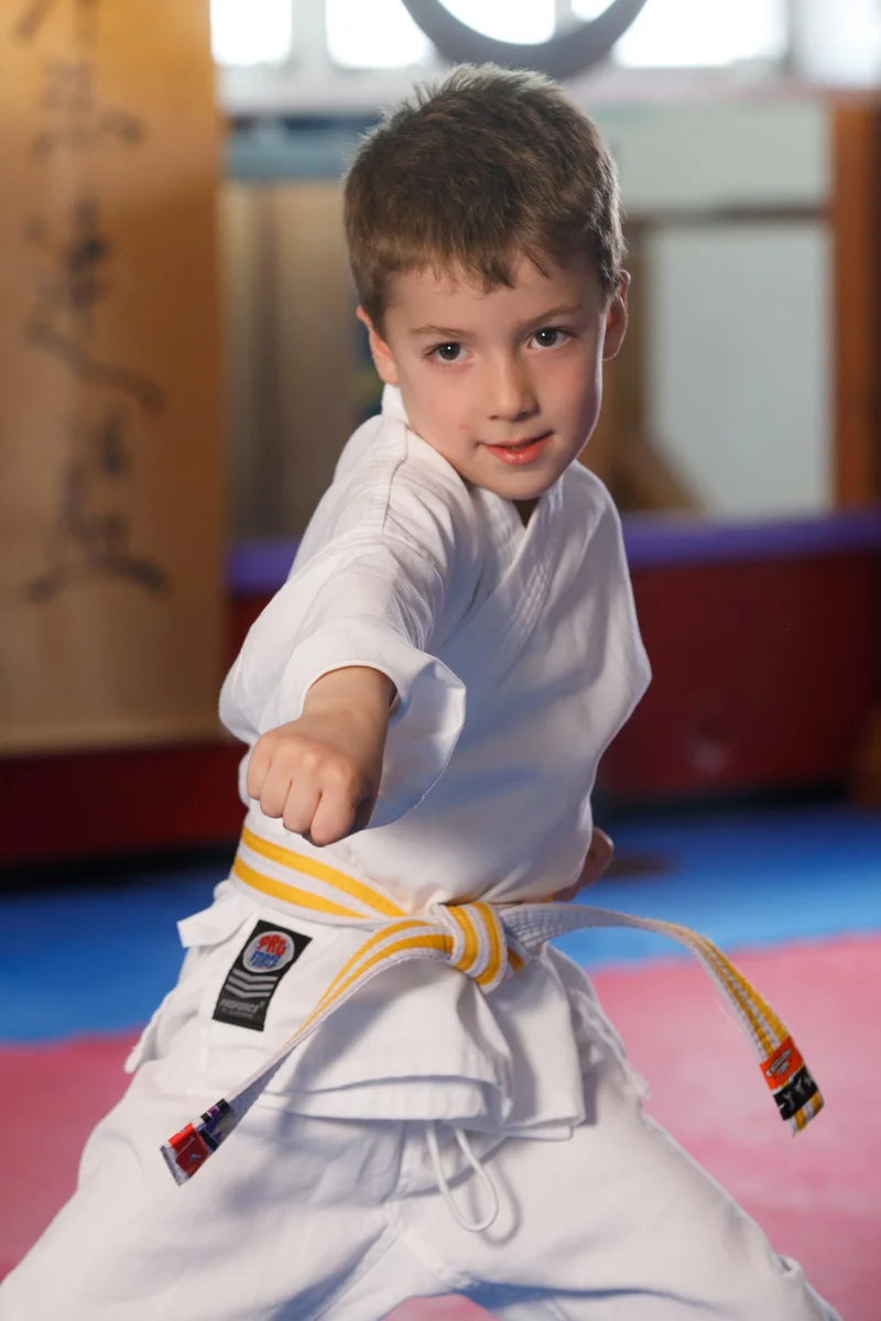 Polander Academy Of Martial Arts facility image