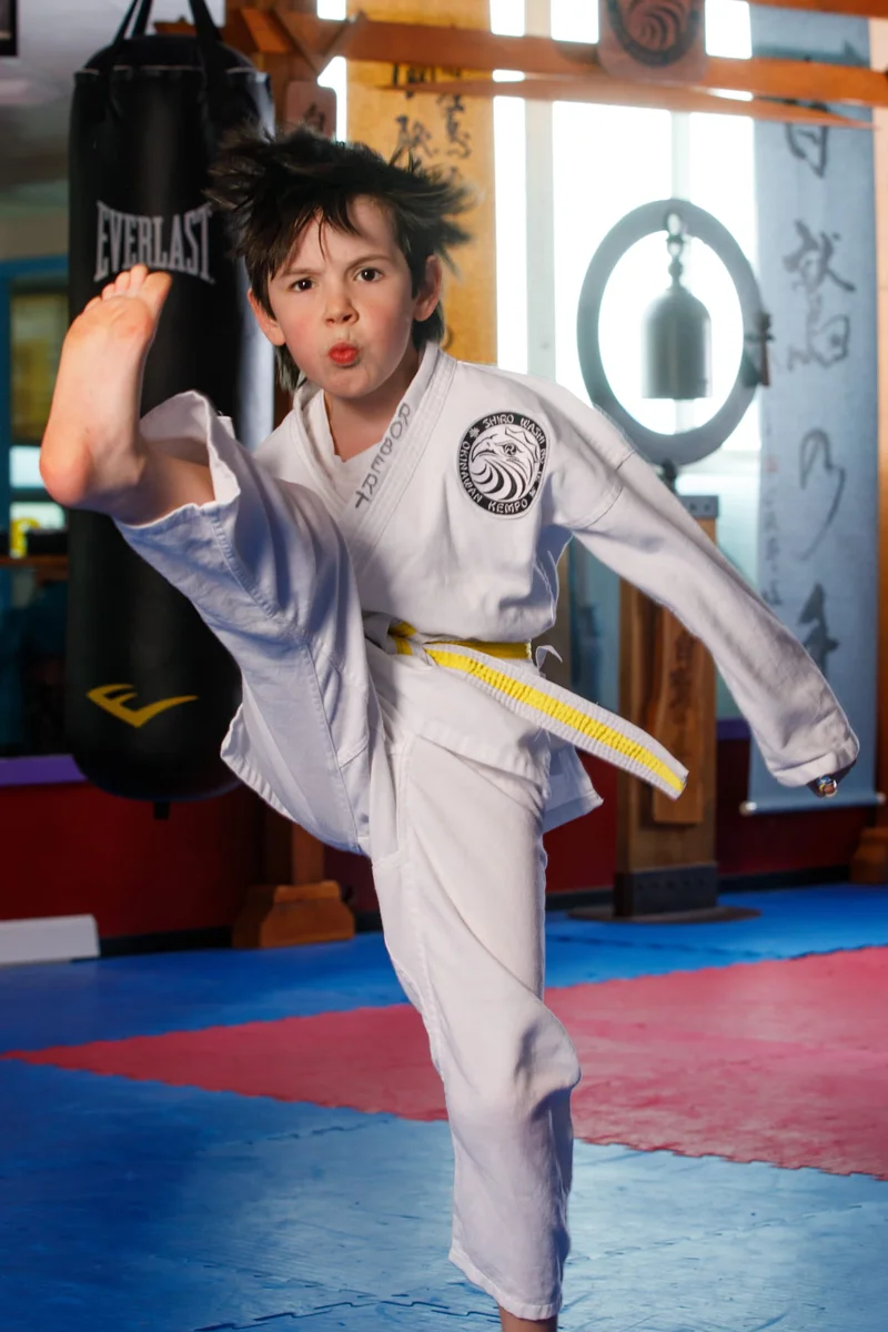Polander Academy Of Martial Arts facility image