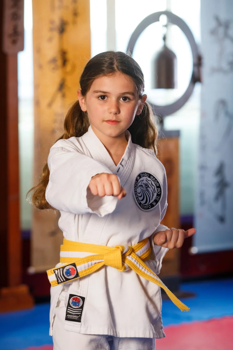 Polander Academy Of Martial Arts facility image
