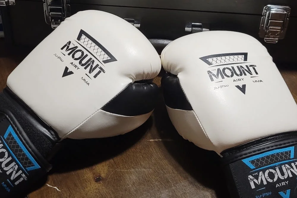 The Mount BJJ facility image