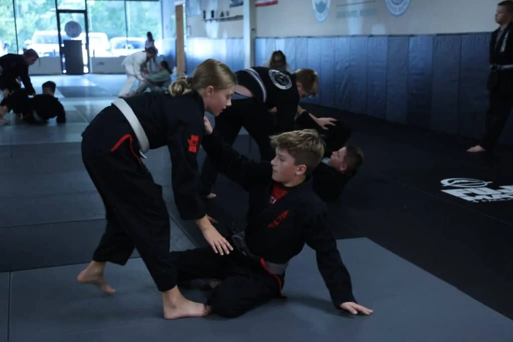 Grand Rapids Brazilian Jiu Jitsu School facility image