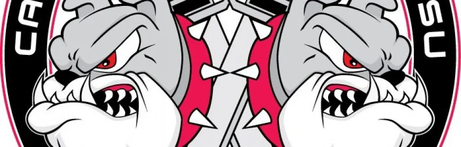 Copa Jiu Jitsu Niles academy logo