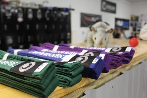 CRowesNest Brazilian Jiu Jitsu facility image